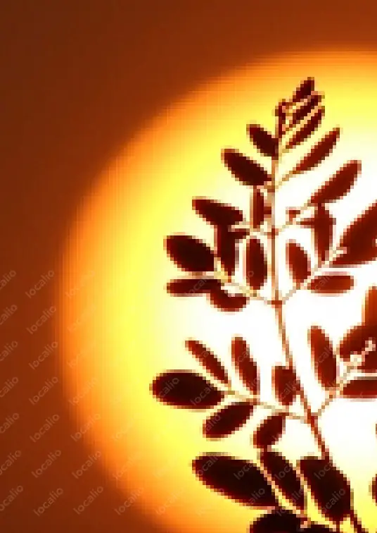 test inzerat