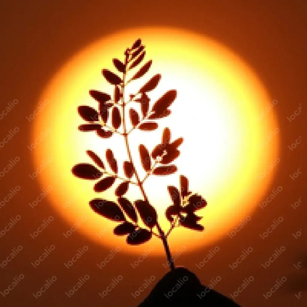 test inzerat